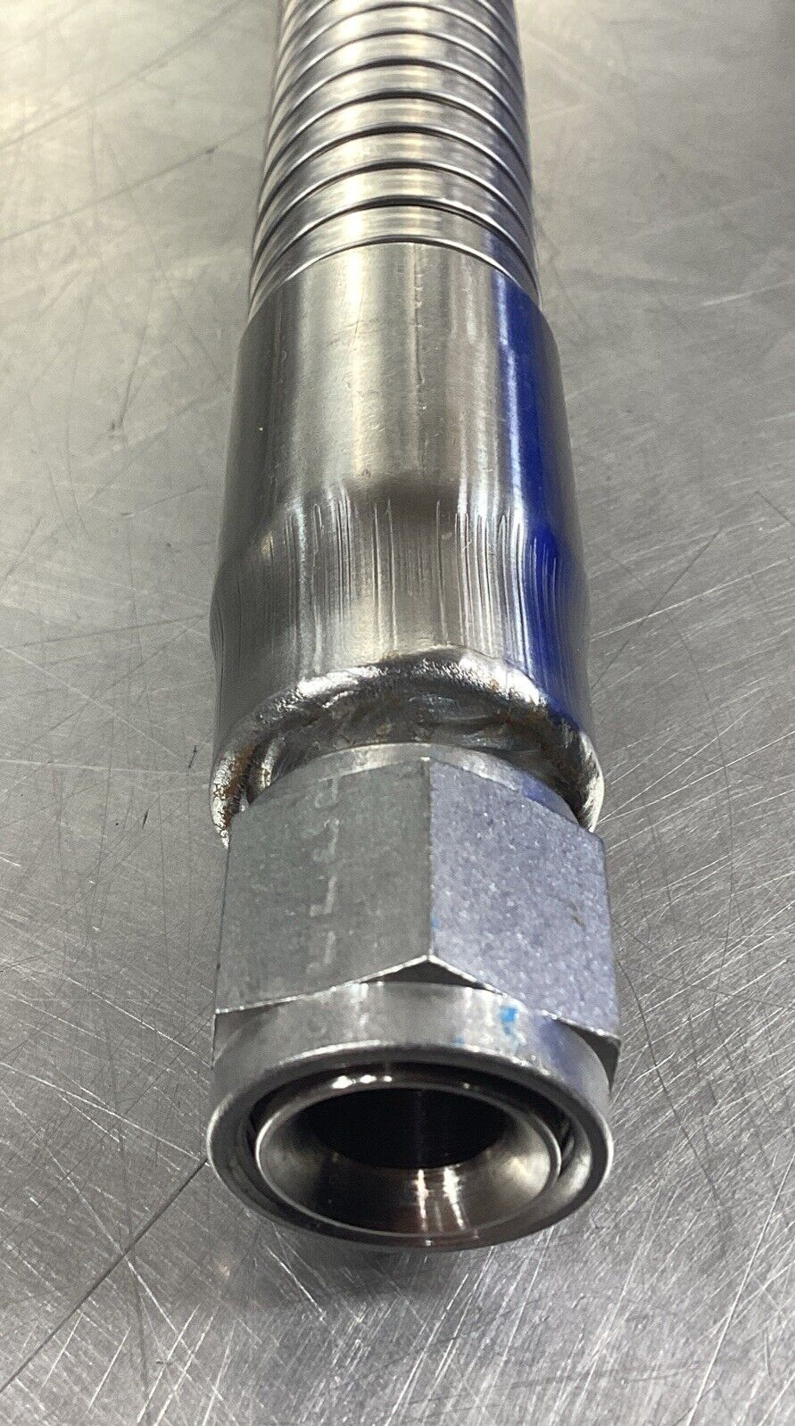 TAYLOR WHARTON 1600-9C66 Flexible Transfer Hose 6 Feet Stainless 6F