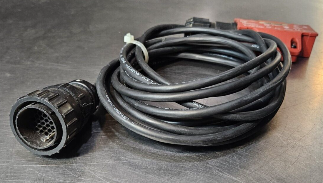 Schmersal TESZ1102/30 Hinged Interlock Switch (BIN744)