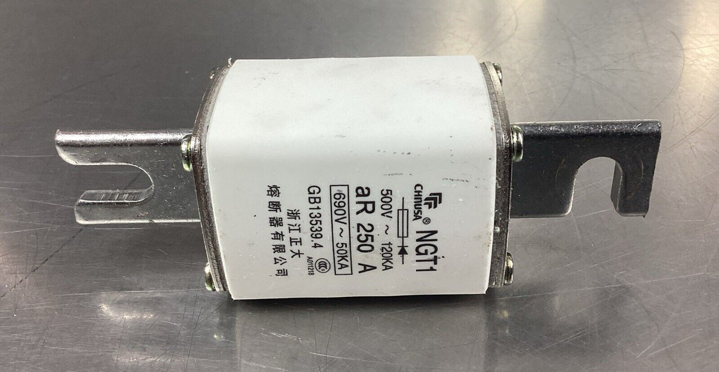 CHNUSA NGT1 690V 250A FUSE. 4C-43