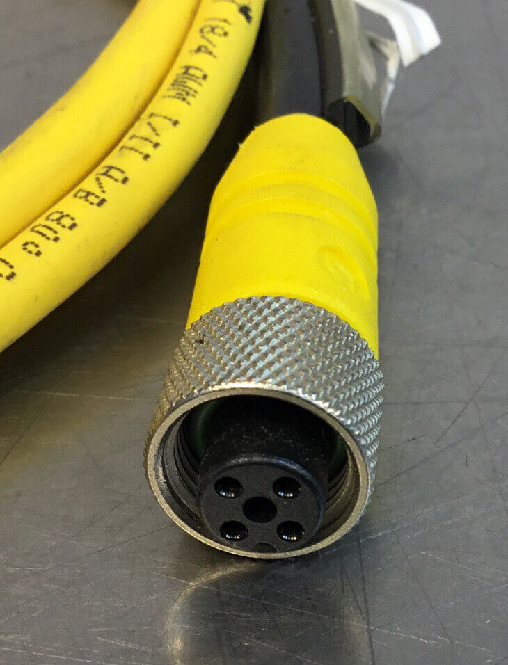 LUMBERG RST 4-RKT 4-602/2M CORDSET 2M, RST 4-RKT 4-S798/2M 5A-3