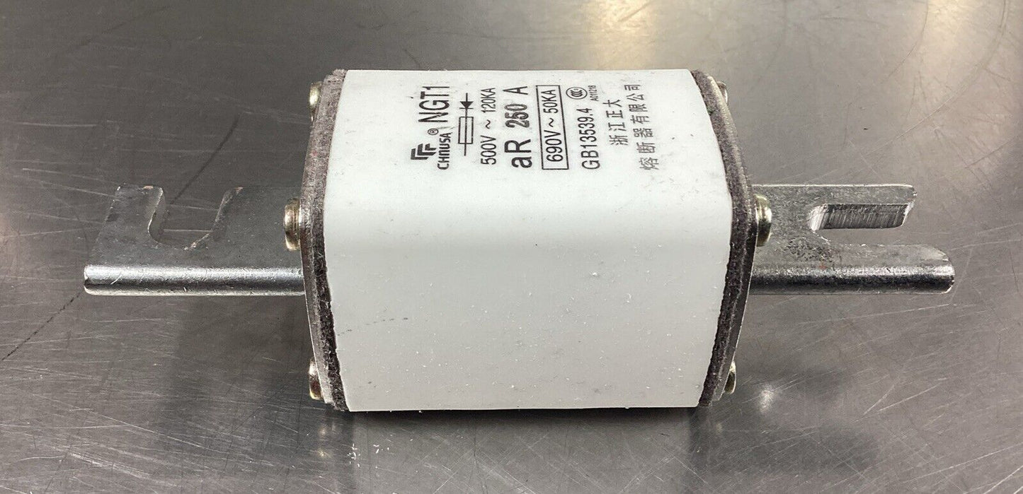 CHNUSA NGT1 690V 250A FUSE.                                                4B-41