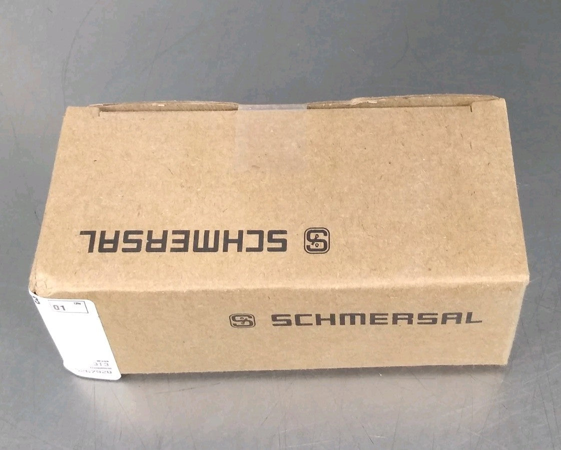 45204919