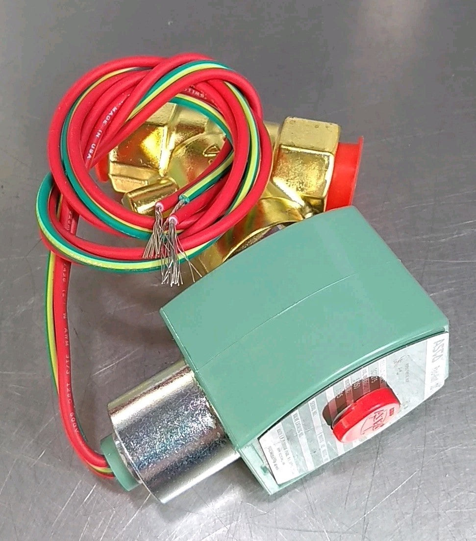45670246