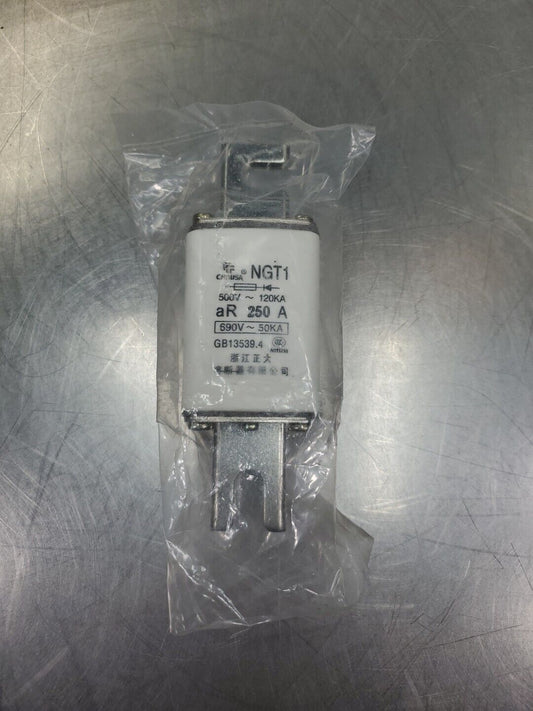 CHNUSA NGT1 690V 250A FUSE.                                                4D-30