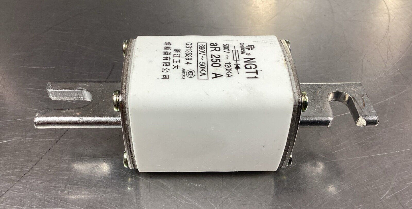 CHNUSA NGT1 690V 250A FUSE.                                       4C-43
