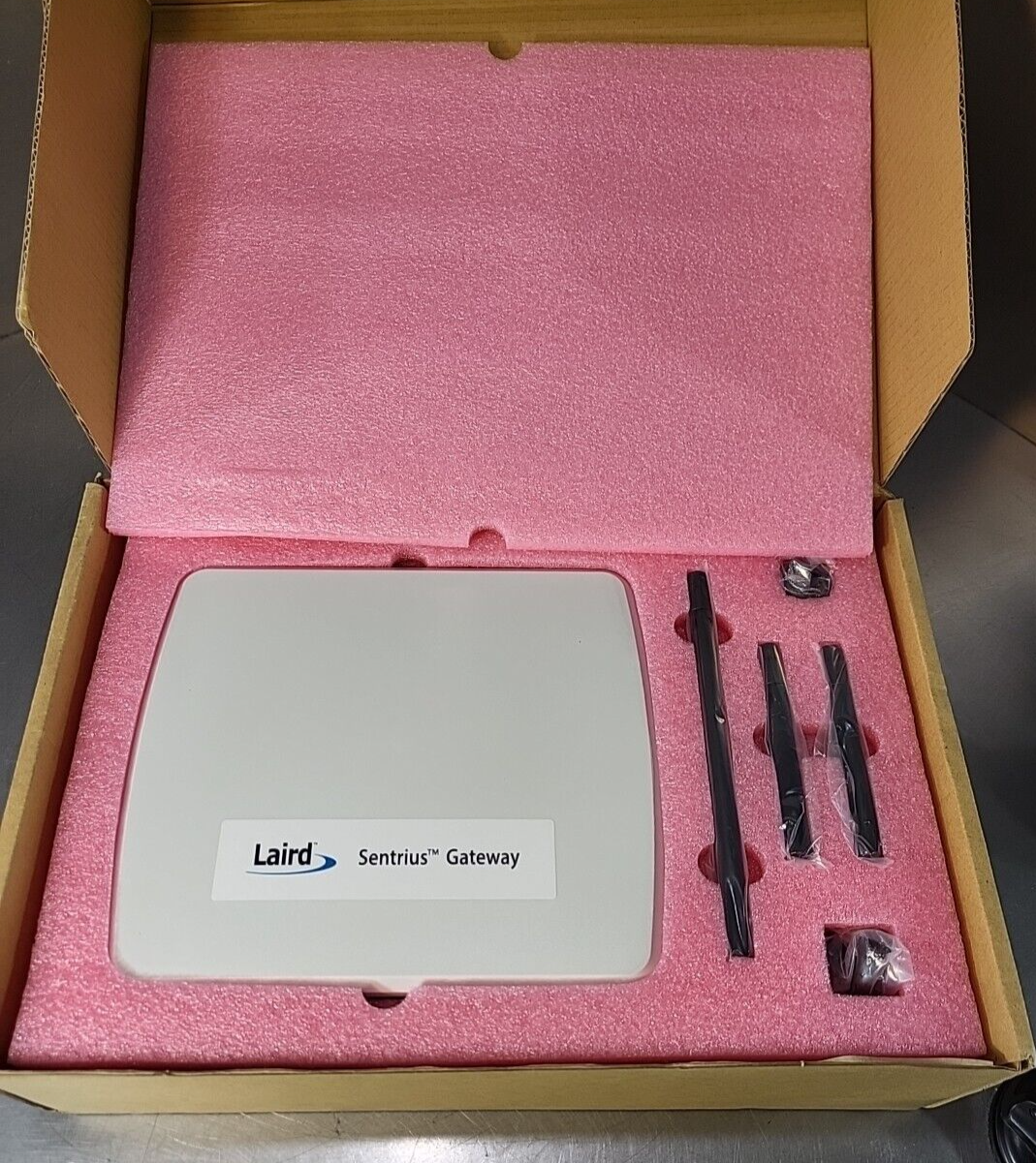 Sentrius RG191 915MHz LoRa LoRaWAN Gateway in IP67 Version (BIN3.5.3)