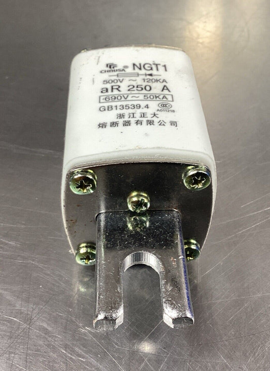CHNUSA NGT1 690V 250A FUSE.                                       4C-43