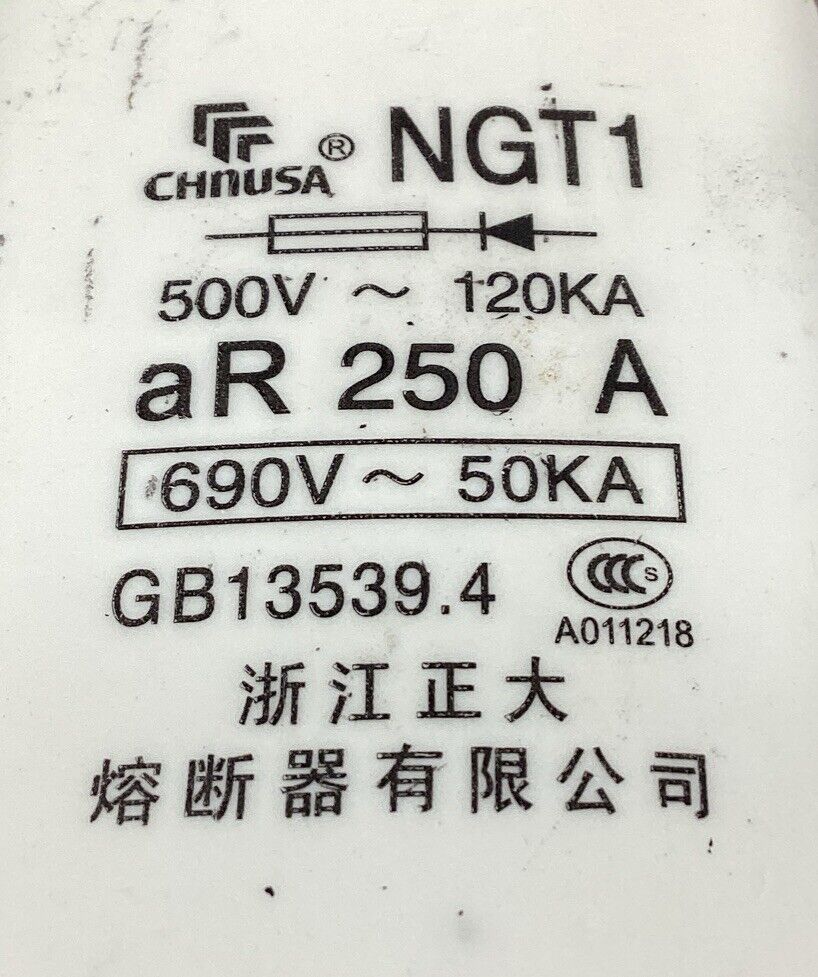 CHNUSA NGT1 690V 250A FUSE.                                       4C-43