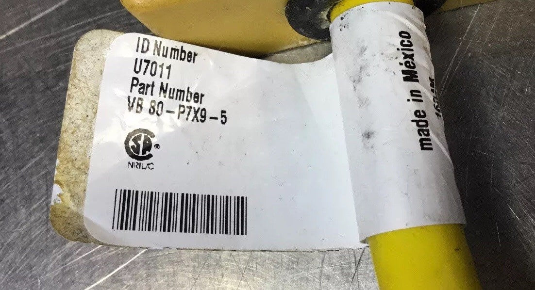 47496862