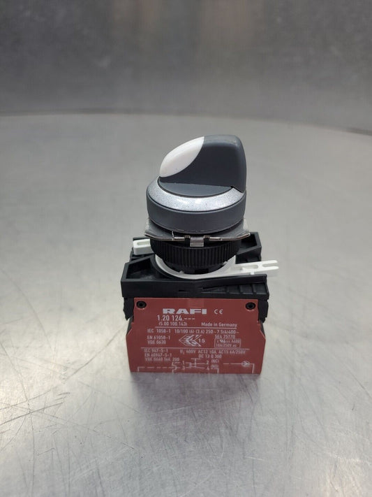 RAFI 1.20124 (250VAC/10A) Rotary Switch.                                   4E-24