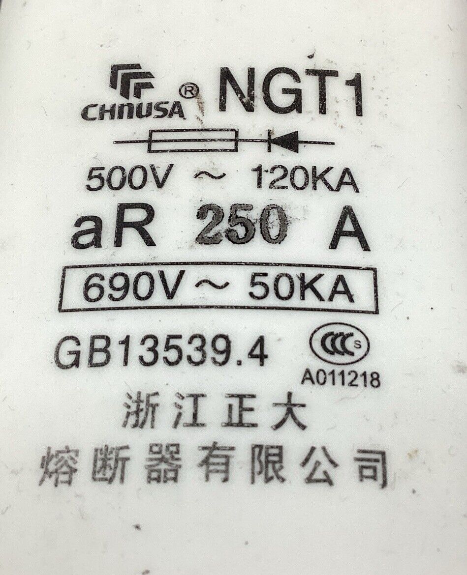 CHNUSA NGT1 690V 250A FUSE.                                                4B-41