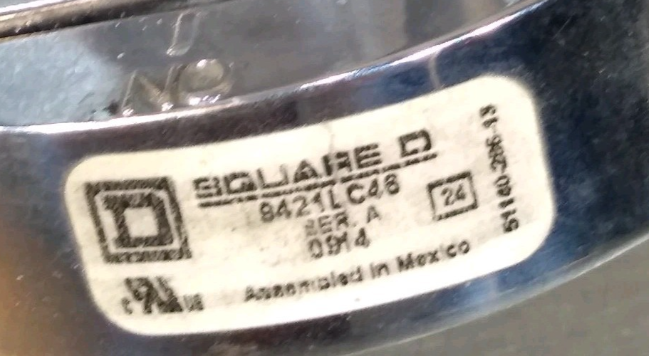 45198058
