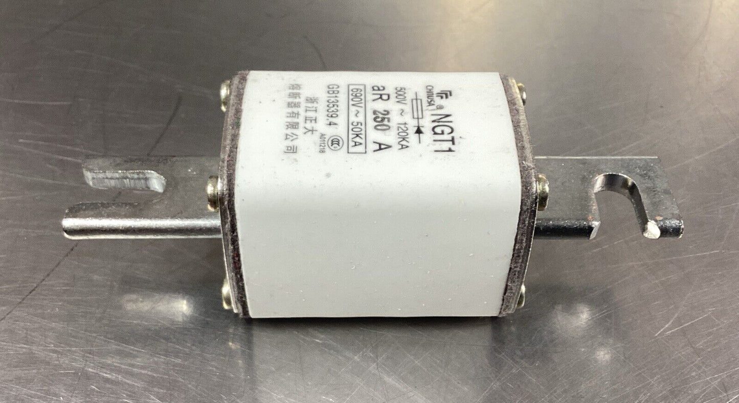 CHNUSA NGT1 690V 250A FUSE.                                                4B-41