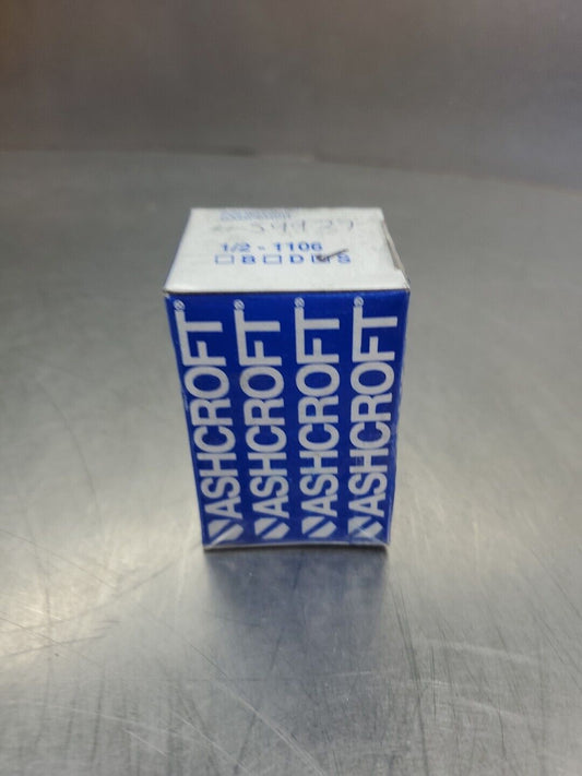 ASHCROFT 1/2 - 1106 S PULSATION DAMPENER.                                   6D-5