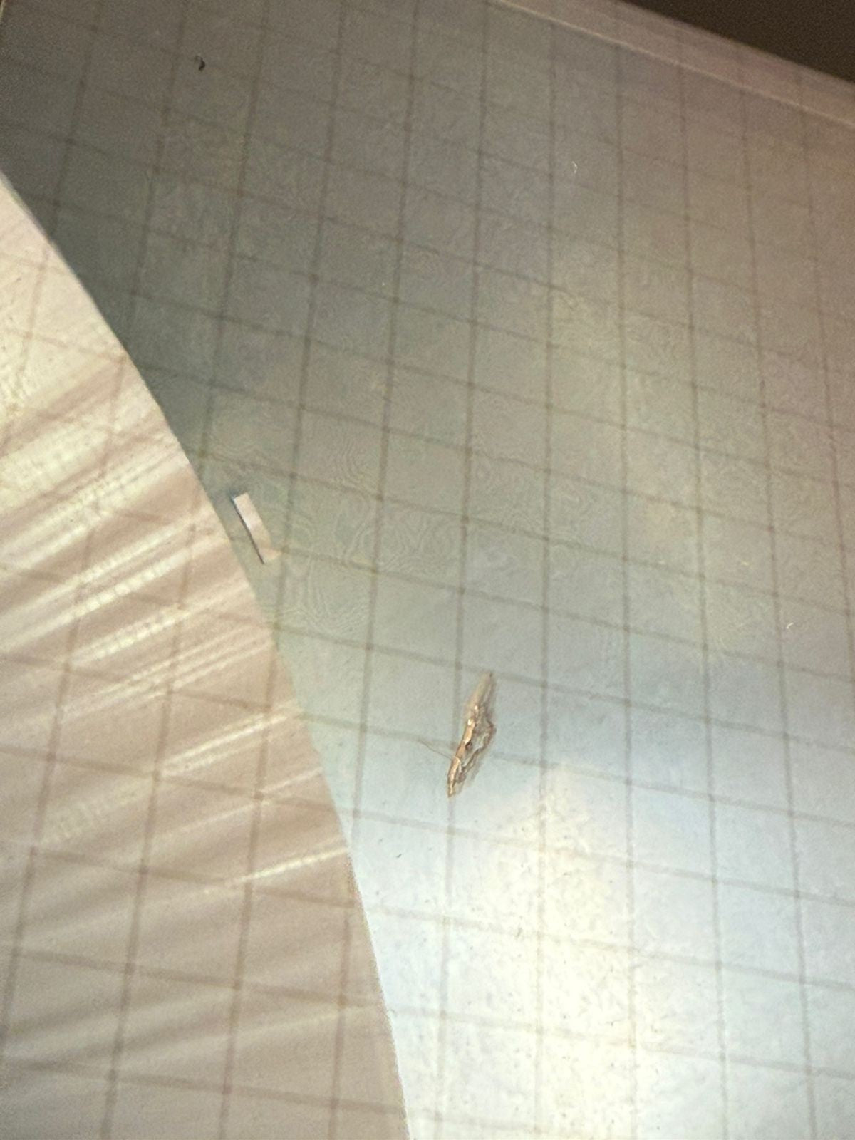 Allen Bradley 2711-T10C15 /E PanelView 1000 Rev.E Frn. 4.46        (6.5.4)