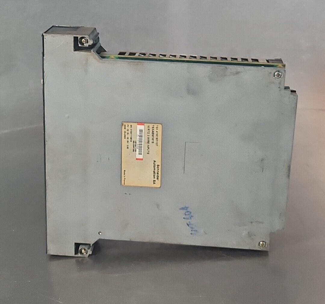 Schneider Telemecanique TSXAEM1613  16 RTD 3 Wire Input Module          (BIN353)