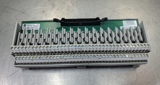 Allen Bradley 1492-IFM40F-F24-2 Ser. A 10-30V AC/DC Interface Module.       3D-7