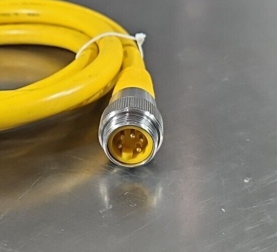 TURCK RSY RKV 56-2M /U0955-26 Cordset.                                Loc5E-20