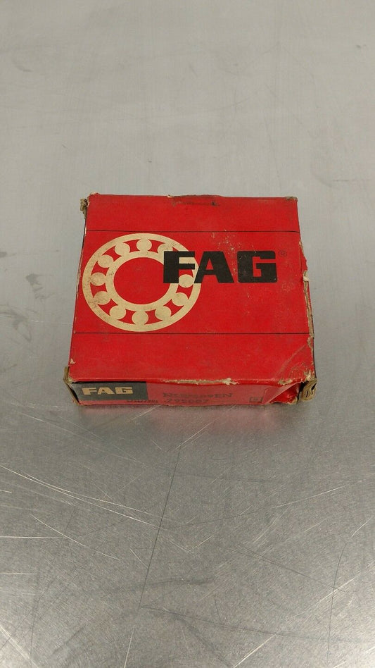 FAG NUP309EN Cylindrical Roller Ball Bearing 6B