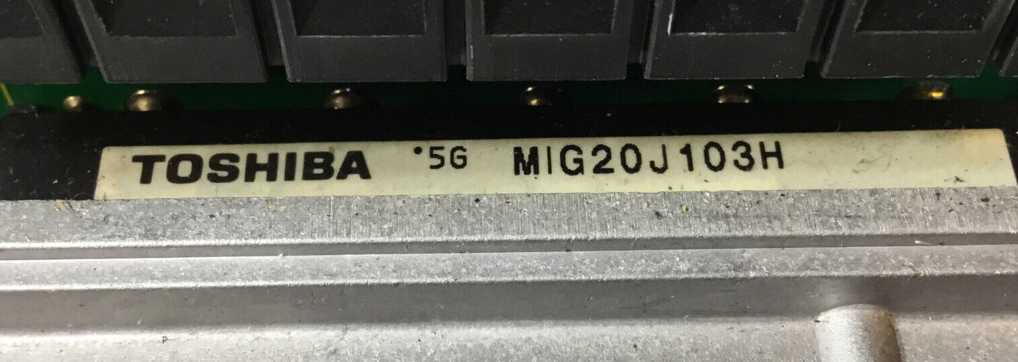 IIS DSD Delta Driver with Toshiba IGBT Module MIG20J103H  100VAC     1D