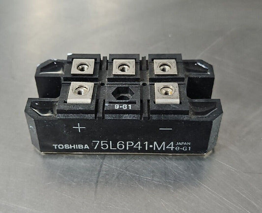 Toshiba 75L6P41-M4 Module.                                              Loc 3D-6