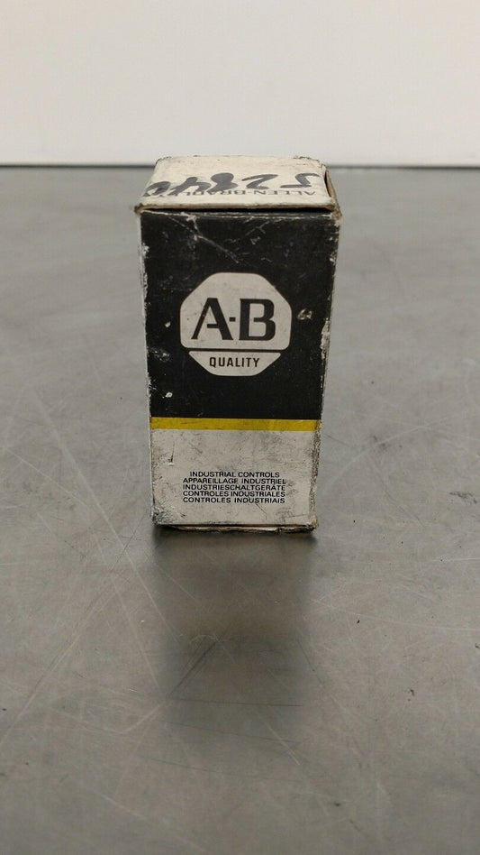 Allen Bradley 700-HA33A1 Relay Series D 10A 120V AC 6B