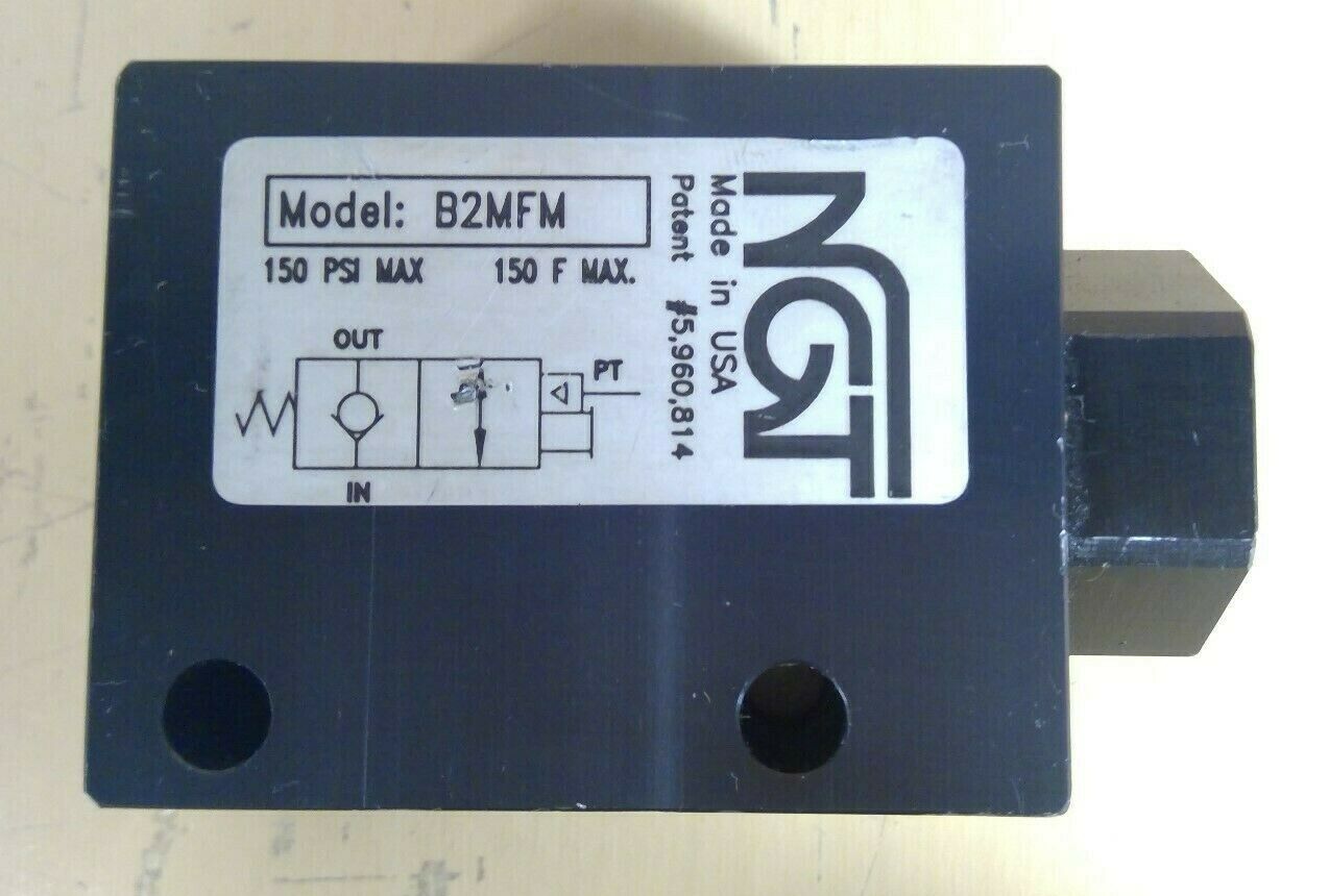 NGT - Model: B2MFM 150 Psi Max Check Valve                             6E