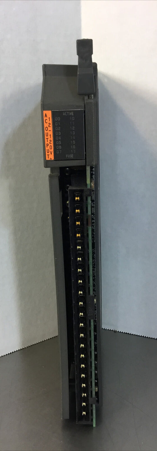Allen-Bradley 1771-0AD/C AC Output Module 10-138VAC     3C-2
